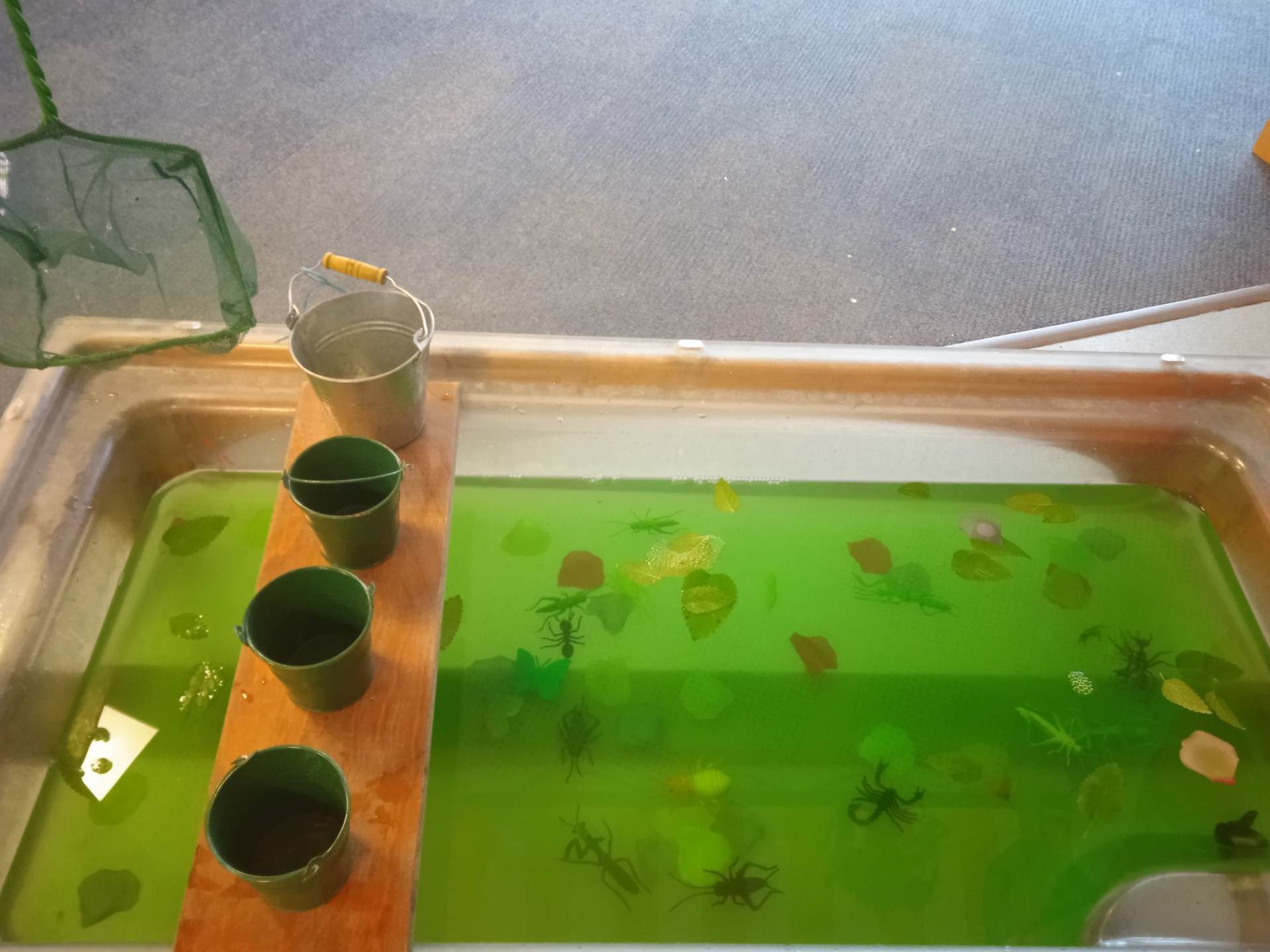 Green water with bugs and leaves